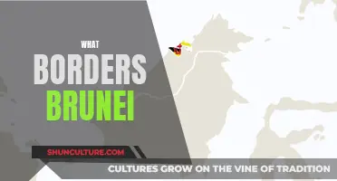 Brunei's Bordering Neighbours: Who Are They?