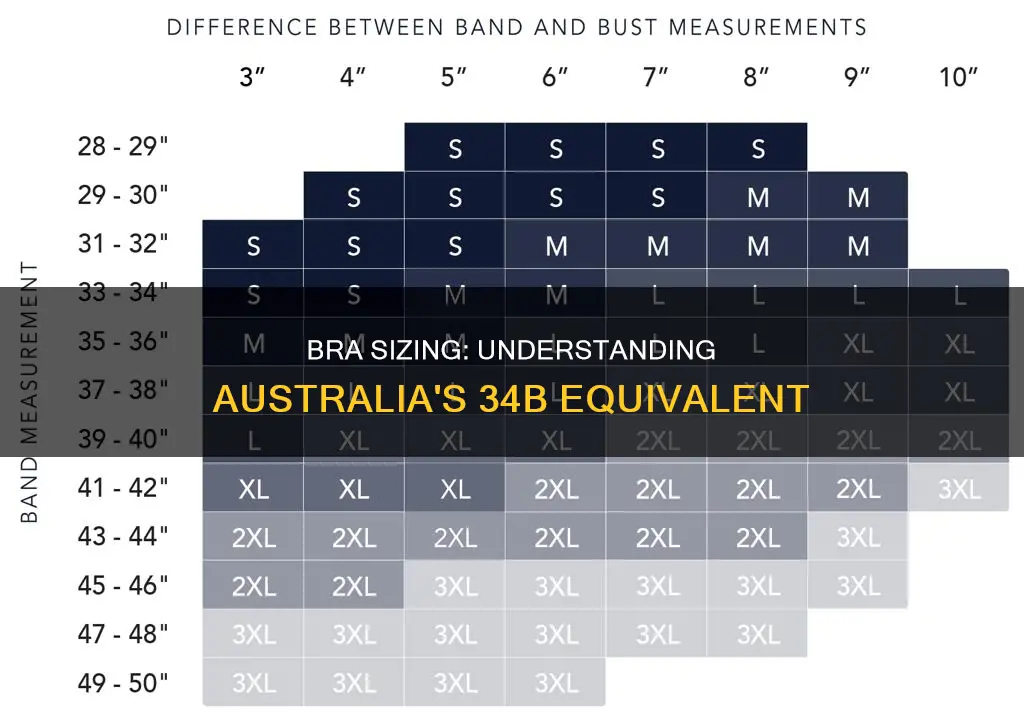 what bra size is 34b in australia