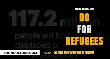 Brazil's Role: Supporting and Empowering Refugees for a Brighter Future