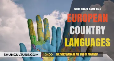 Brazil vs. Europe: Language Similarities and Cultural Connections Explored