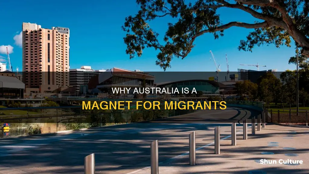 what brings people to australia