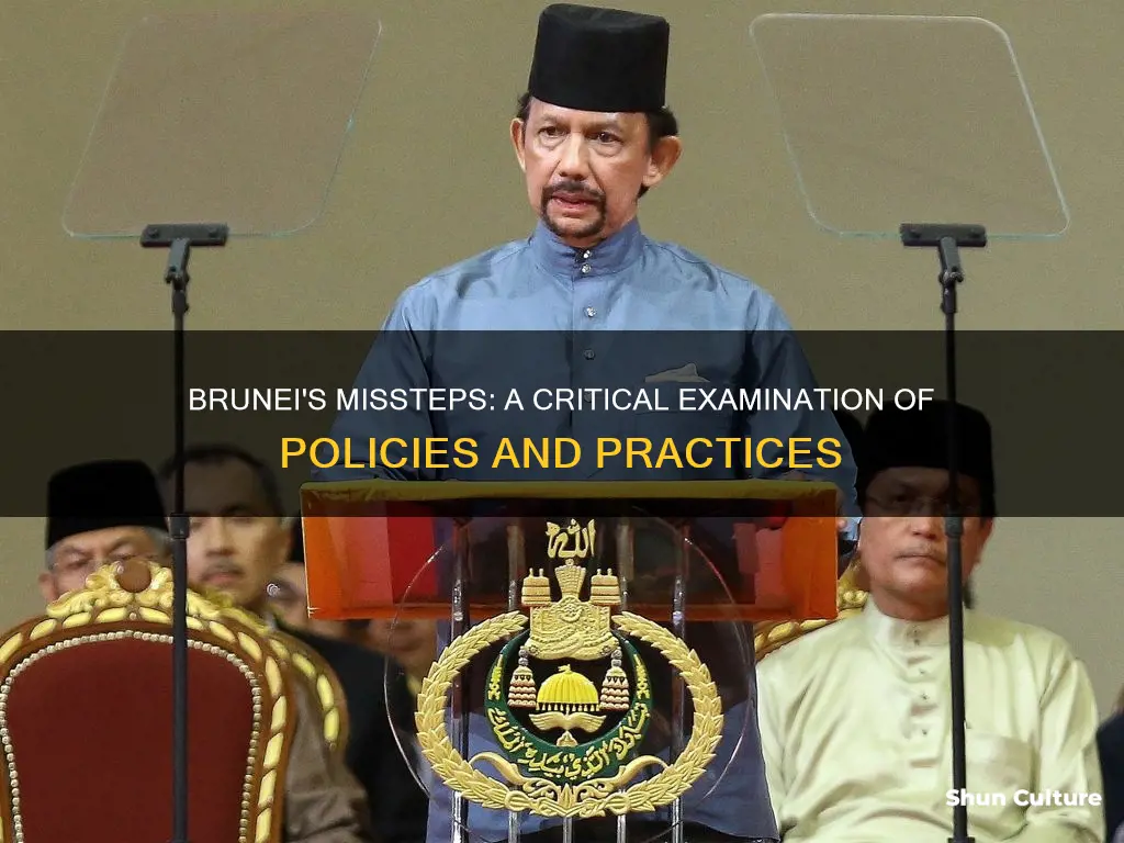 what brunei gets wrong