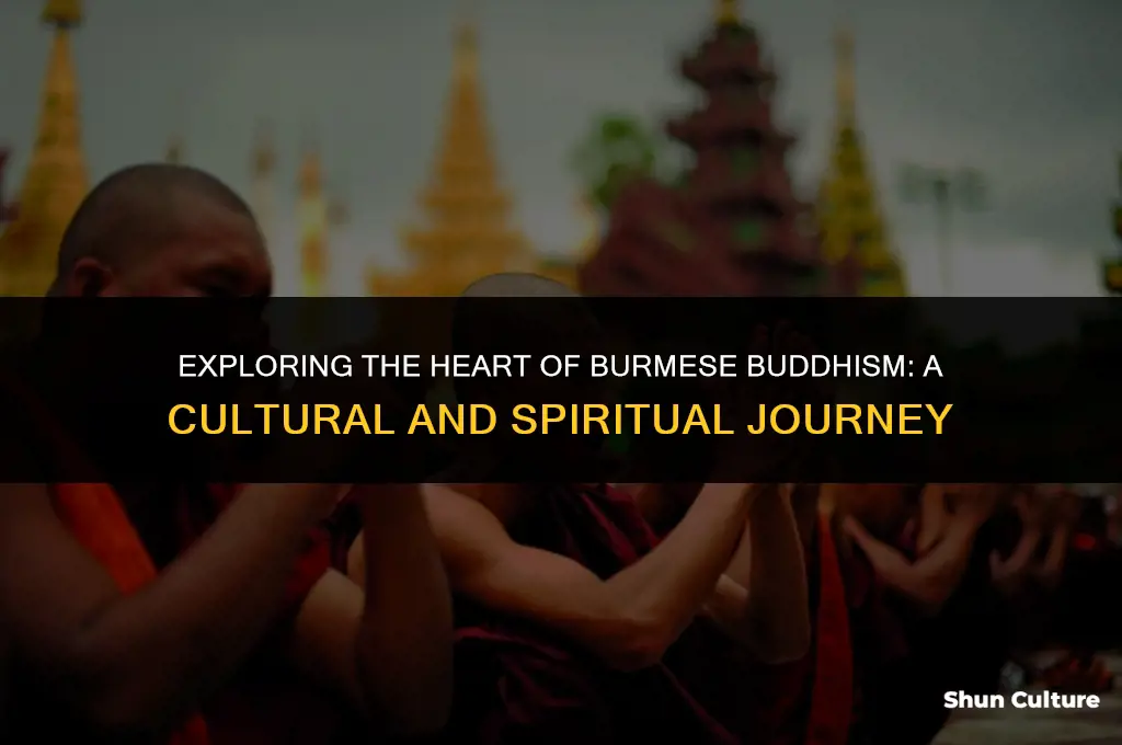 what buddhism is in burma