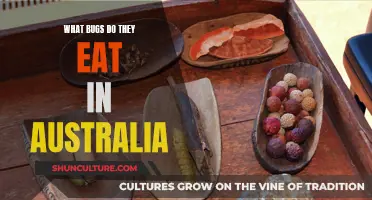 Exploring Australia's Edible Insect Delicacies: A Cultural Adventure