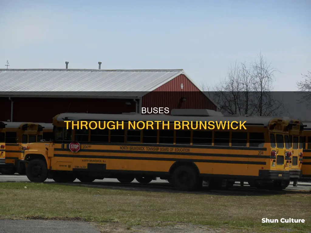 what bus goes through north brunswick