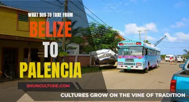 Belize-Palencia Bus Route: Navigating the Journey