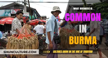 Exploring Myanmar's Economic Landscape: Common Businesses in Burma