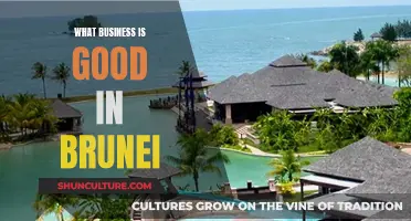 Lucrative Business Opportunities in Brunei: A Guide