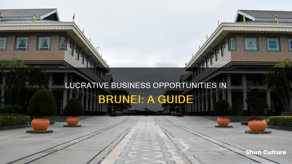 what business is good in brunei