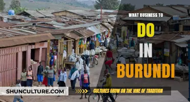 Exploring Lucrative Business Opportunities in Burundi: A Comprehensive Guide