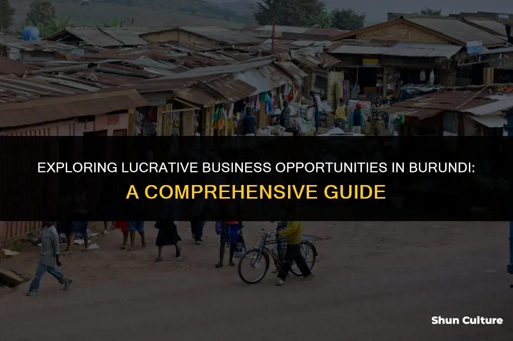 what business to do in burundi
