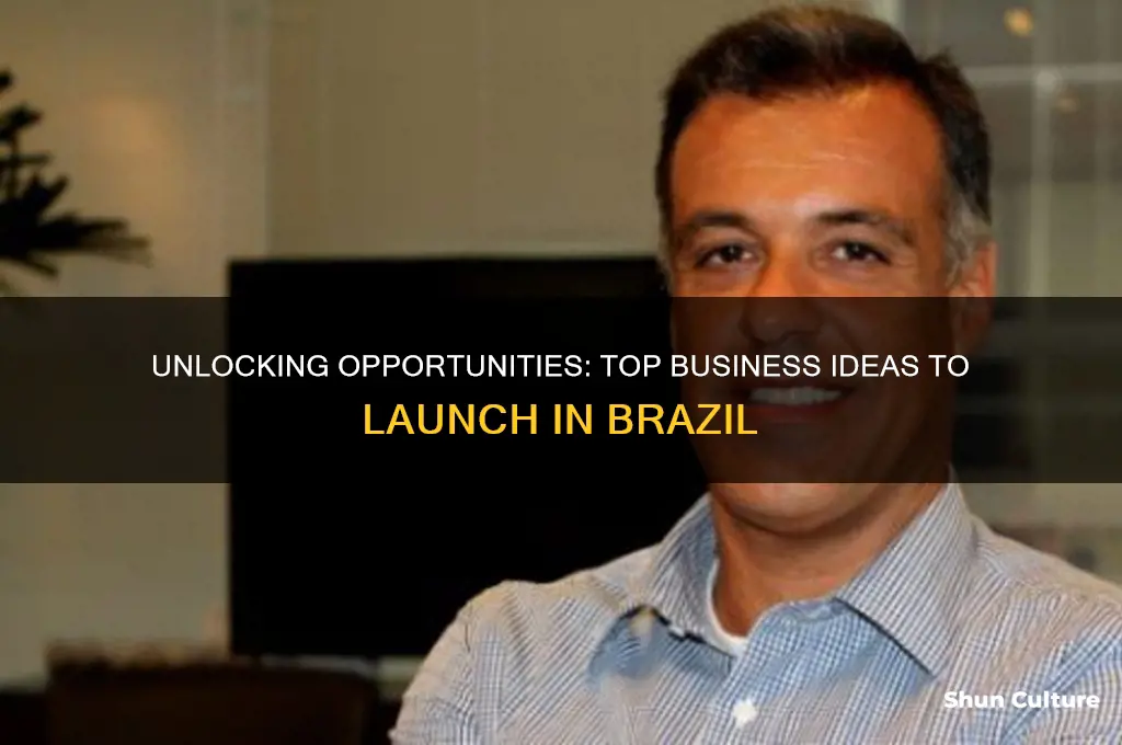 what businesses can start in brazil