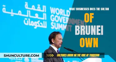 Sultan of Brunei's Business Empire: What He Owns