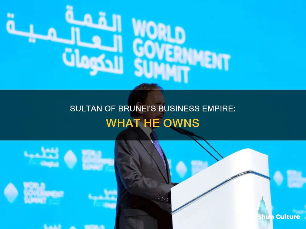 what businesses does the sultan of brunei own