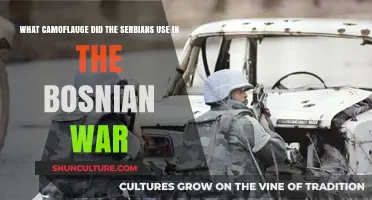 Serbian Camouflage Tactics in the Bosnian War: Patterns and Strategies