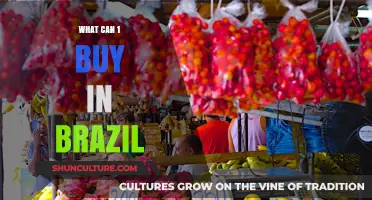 Exploring Brazil's Markets: Affordable Finds and Unique Purchases