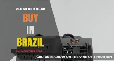 Exploring Brazil: What Can You Purchase with 300 USD?