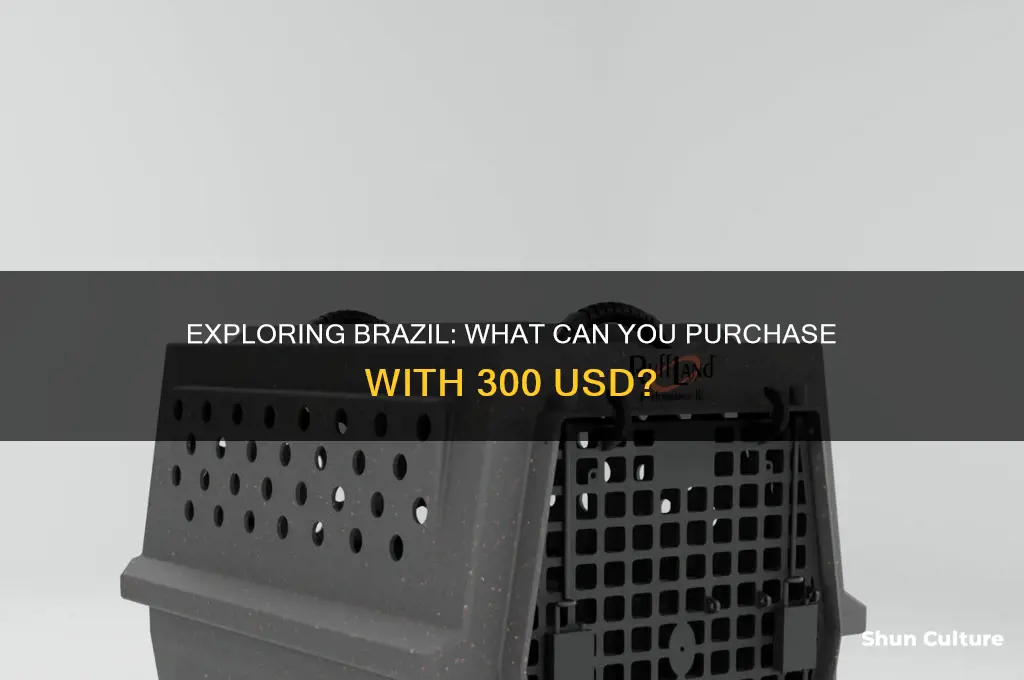 what can 300 is dollars buy in brazil