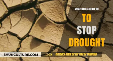 Combating Drought in Algeria: Sustainable Solutions for Water Security