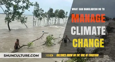 Bangladesh's Climate Resilience: Strategies for Sustainable Adaptation and Mitigation