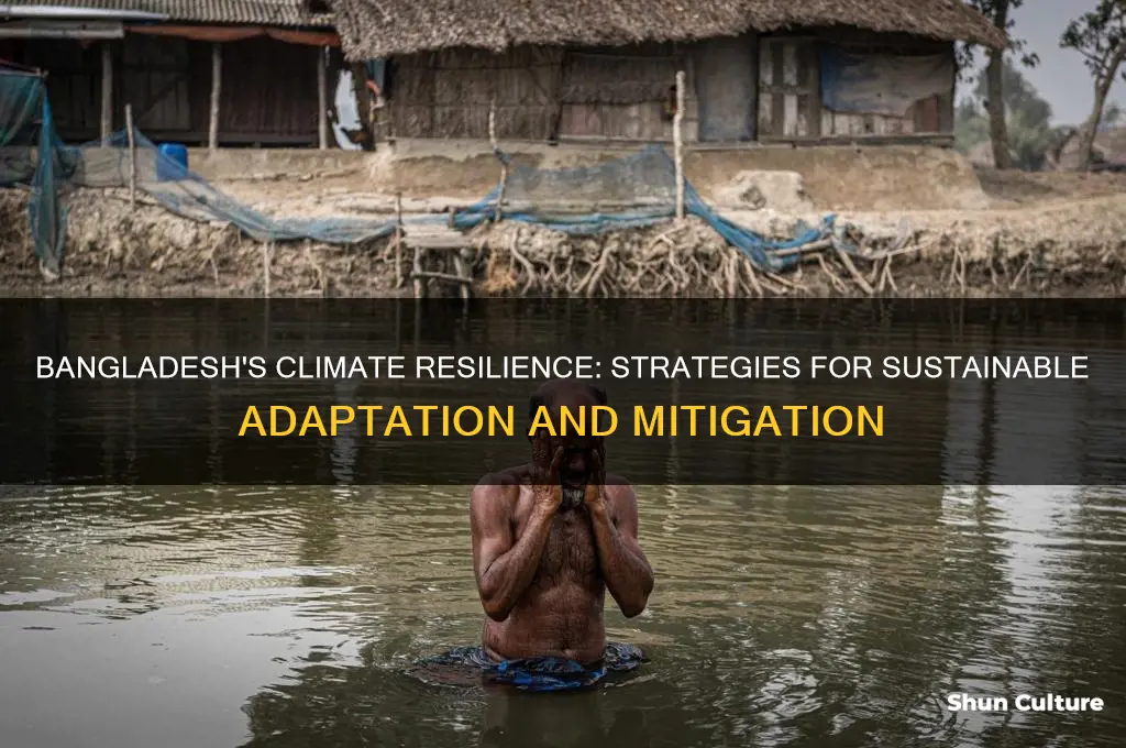 what can bangladesh do to manage climate change