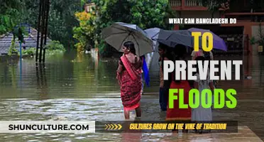 Strategies for Bangladesh to Mitigate Flood Risks and Protect Communities