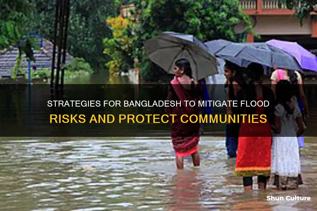 what can bangladesh do to prevent floods