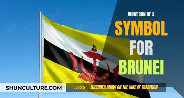 The Unique Cultural Identity: Symbolic Representation of Brunei