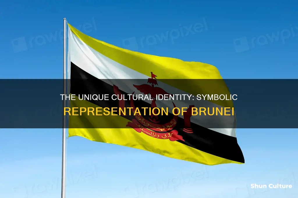 what can be a symbol for brunei