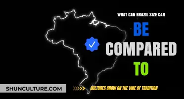 Comparing Brazil's Size: Surprising Global Landmass Equivalents Revealed