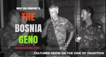 Bosnia Genocide: Unparalleled Atrocity or Comparable Historical Tragedy?