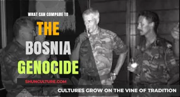 Comparing the Bosnia Genocide: Historical Parallels and Lessons Learned