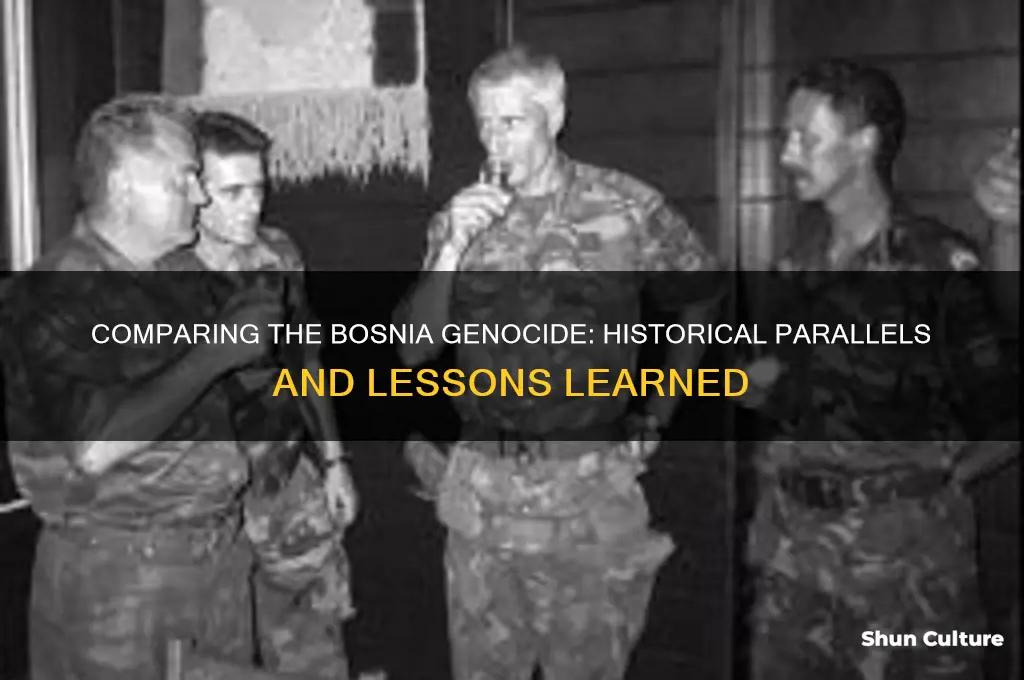 what can compare to the bosnia genocide