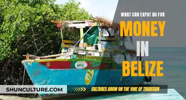 Expat Income Strategies in Belize: Exploring Options Beyond Retirement