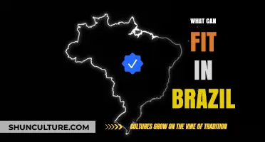 Exploring Brazil's Capacity: What Can Fit in the Largest Country?