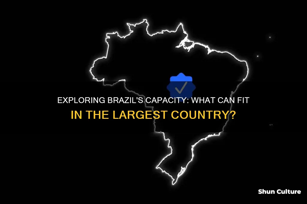 what can fit in brazil