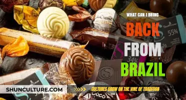 Unique Souvenirs and Treasures to Bring Back from Brazil