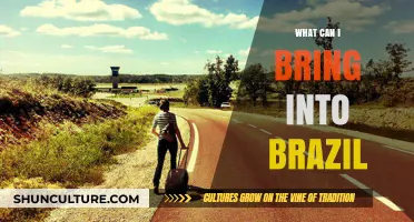 Traveling to Brazil: Essential Items to Pack and Customs Regulations
