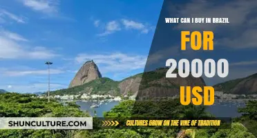 Exploring Brazil: Top Purchases for $20,000 USD Revealed