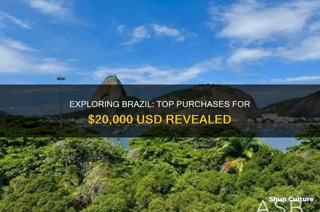 what can I buy in brazil for 20000 usd