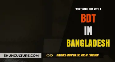 Exploring Affordable Purchases: What 1 BDT Can Buy in Bangladesh