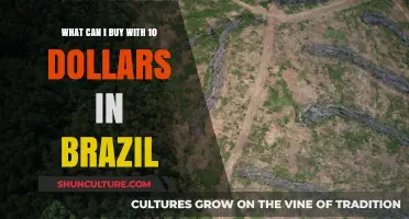Budget-Friendly Brazil: Exploring Affordable Purchases Under $10