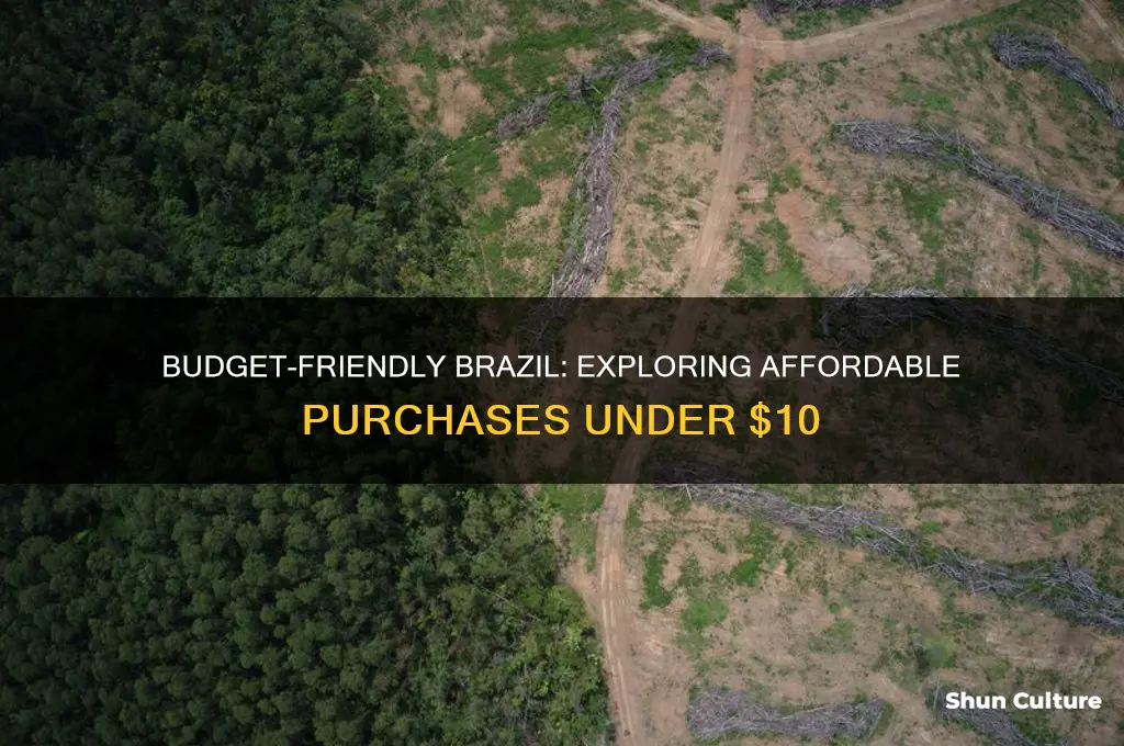 what can I buy with 10 dollars in brazil