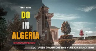 Exploring Algeria: Top Activities, Attractions, and Adventures to Experience
