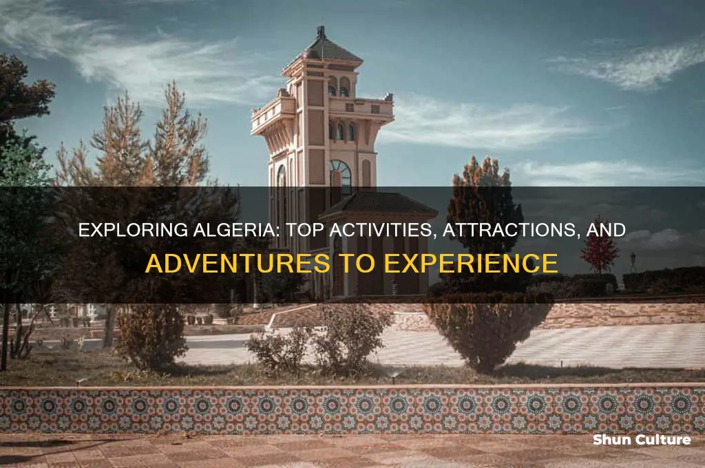 what can I do in algeria