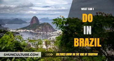 Exploring Brazil: Top Adventures, Culture, and Hidden Gems to Discover