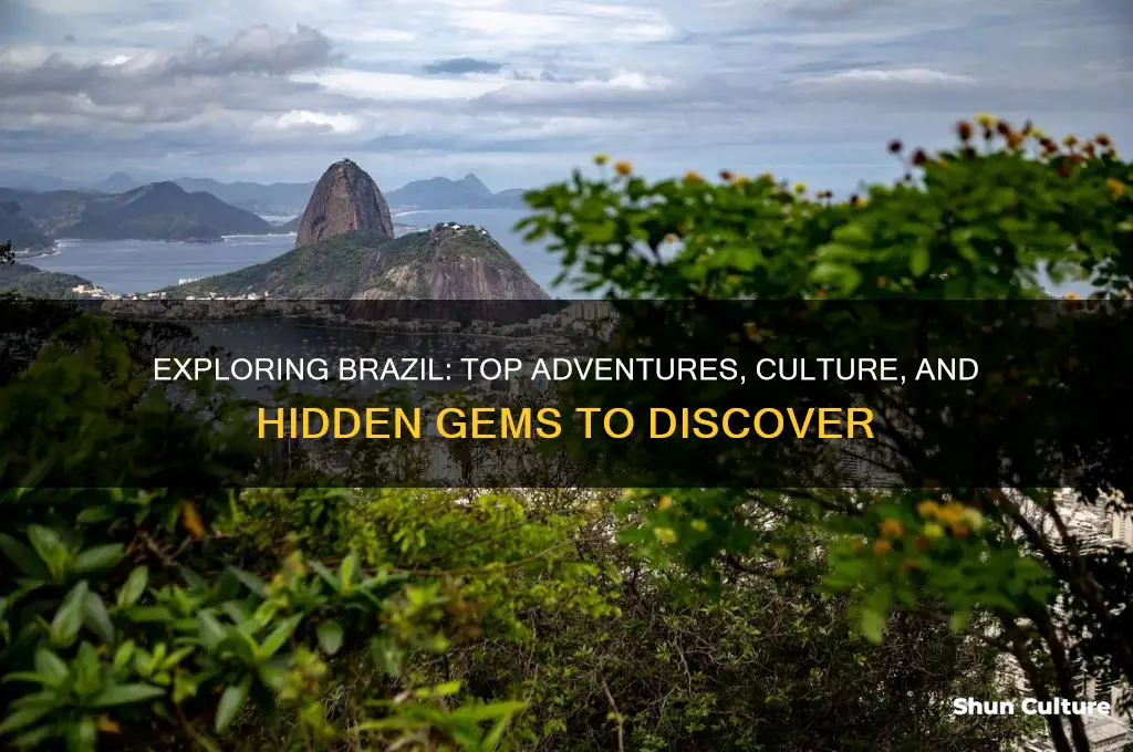 what can I do in brazil