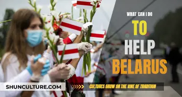 Helping Belarus: How to Support the Country's Democracy Struggles