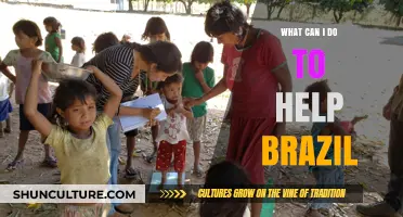 Supporting Brazil: Practical Ways to Contribute and Make a Difference