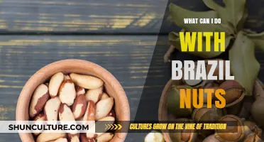 Unlocking the Versatility of Brazil Nuts: Creative Uses and Benefits